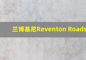 兰博基尼Reventon Roadster